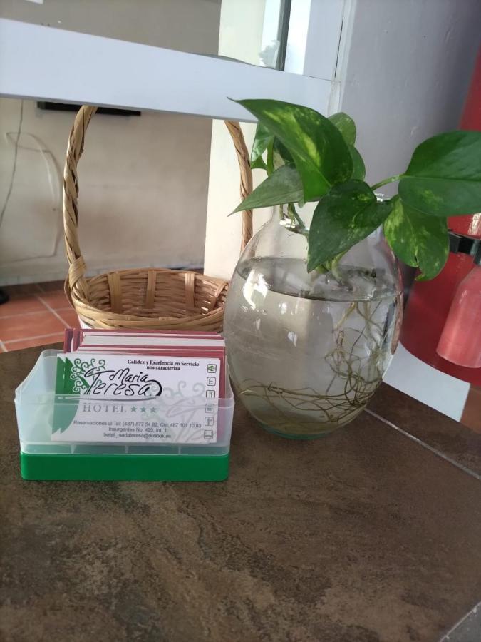 Hotel Maria Teresa Río Verde Εξωτερικό φωτογραφία